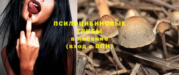 spice Абаза
