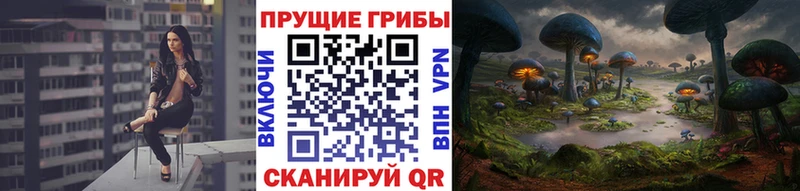 ОМГ ОМГ ONION  Алатырь  Галлюциногенные грибы Psilocybe 